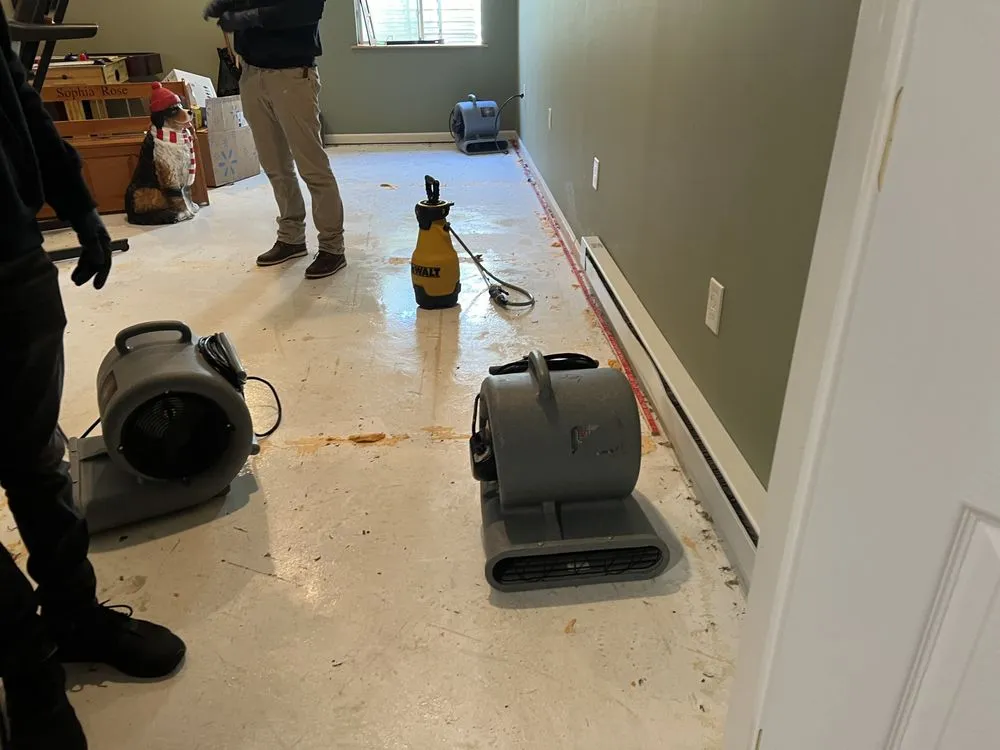 Slide of Scavello Restoration