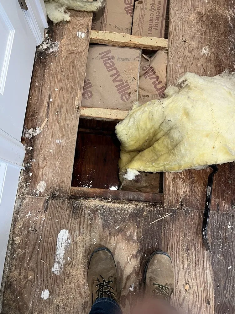 Professional drain cleaning in Pottstown, PA by Scavello Restoration