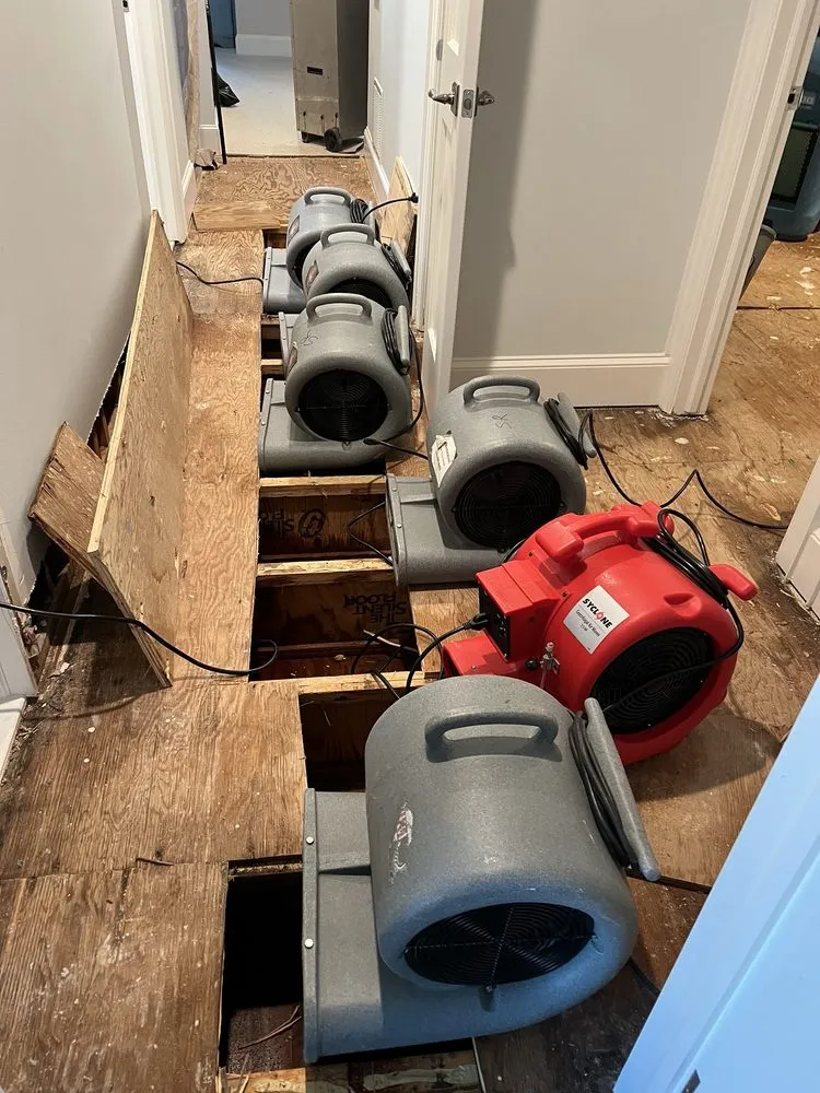 Slide of Scavello Restoration