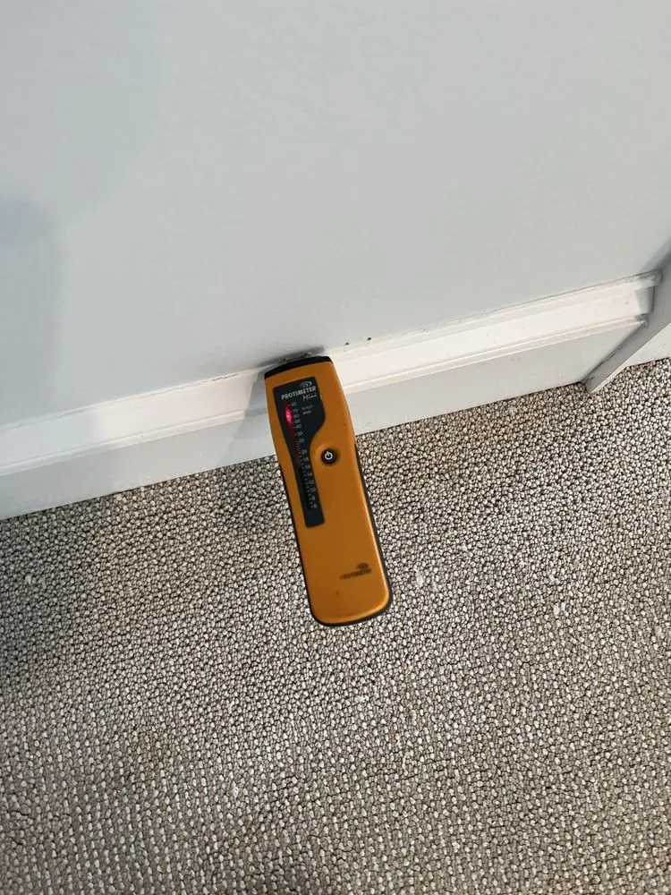 Slide of Scavello Restoration