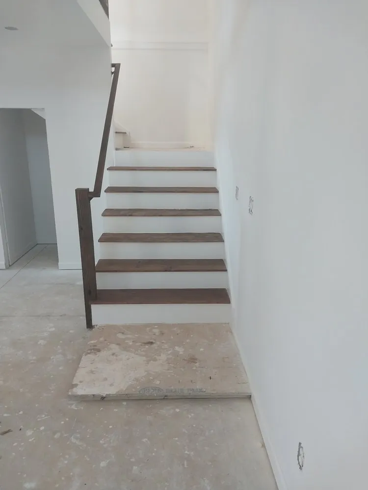 Slide of Schmidt's pentimento painting services