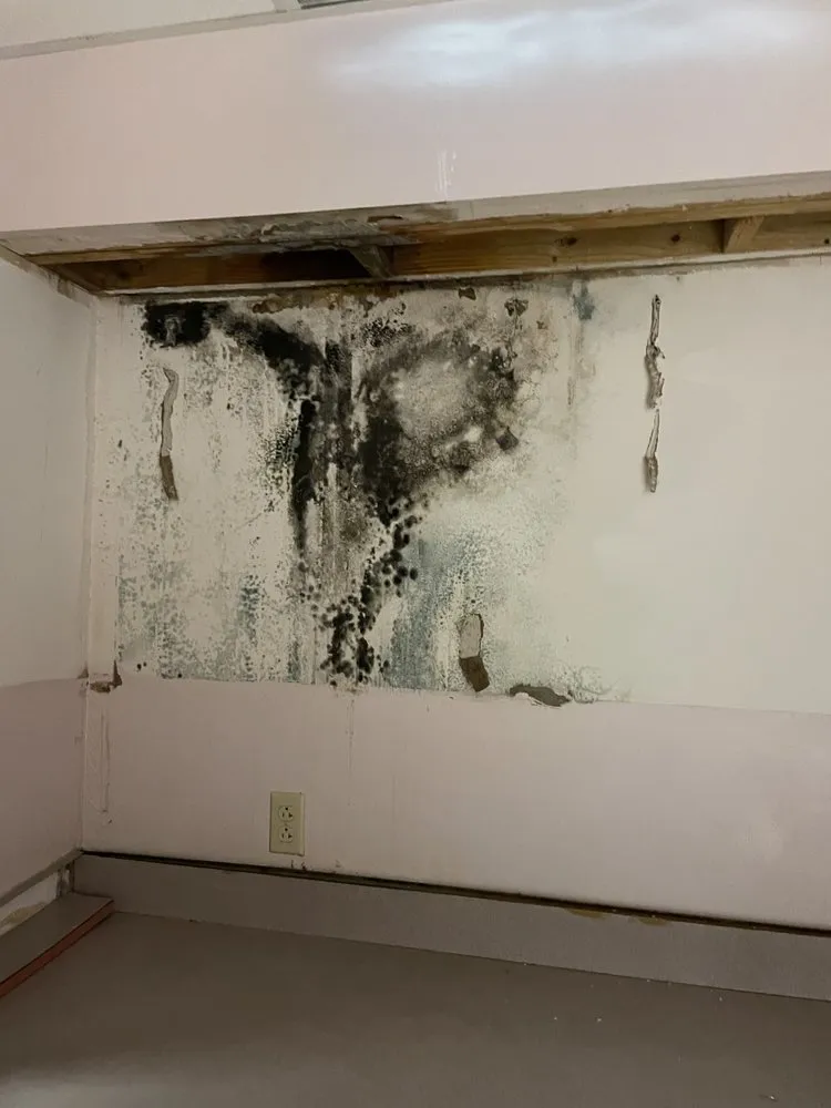 Slide of Schones Home Services