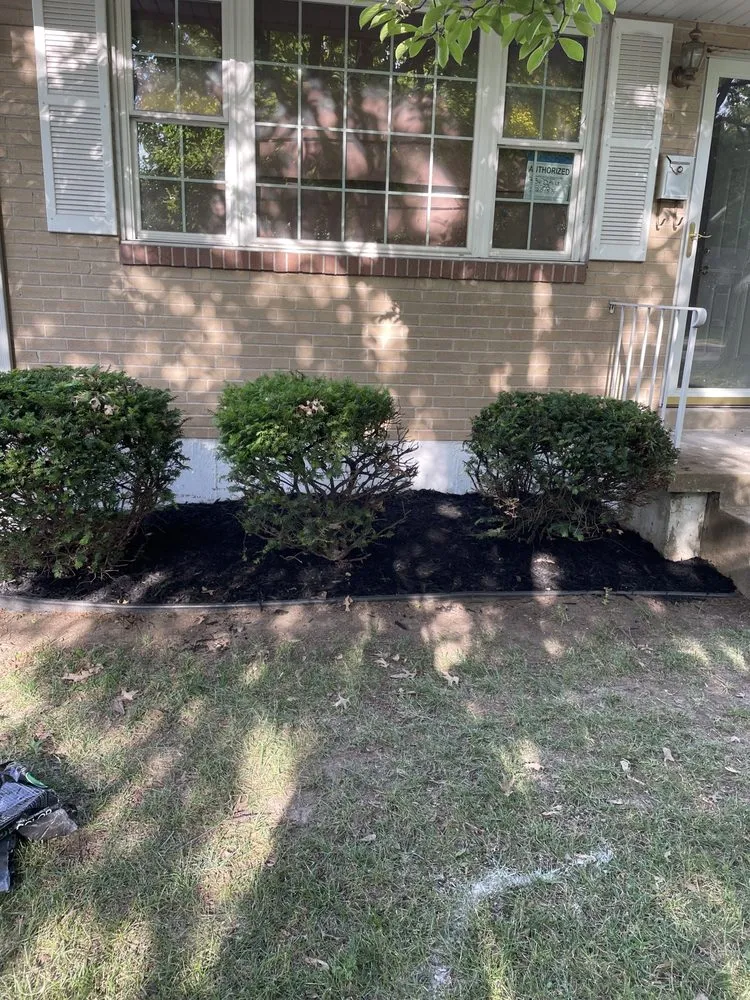 Top-rated leak detection in Granite City, IL by Schones Home Services