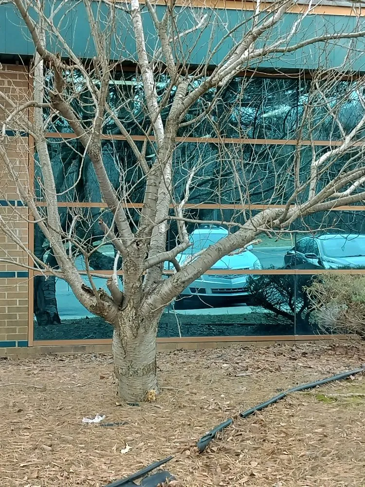 Slide of Schwarz All Trades Fix