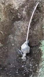 Slide of Scottsdale Plumbing