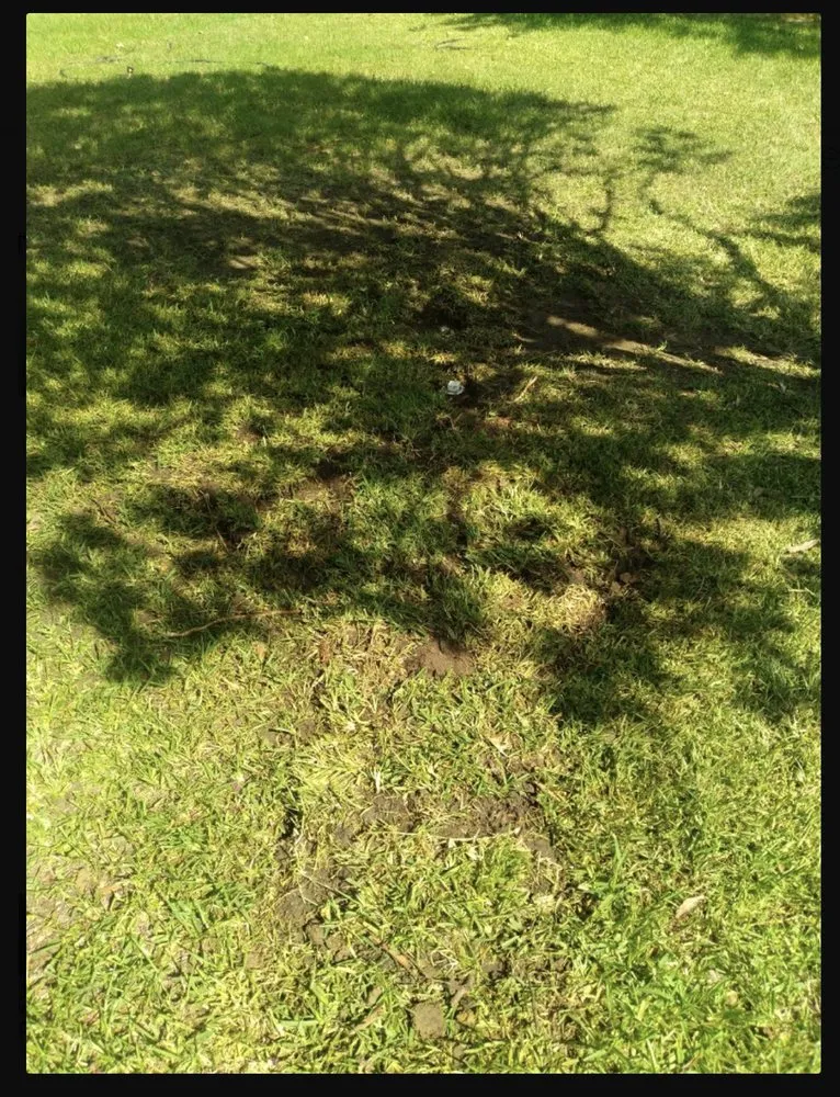 Slide of Scout Plumbing