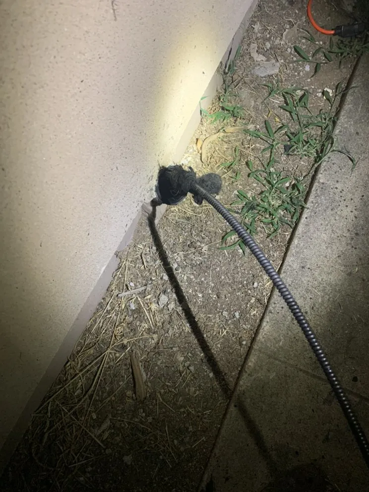 Slide of SD Drain Cleaning