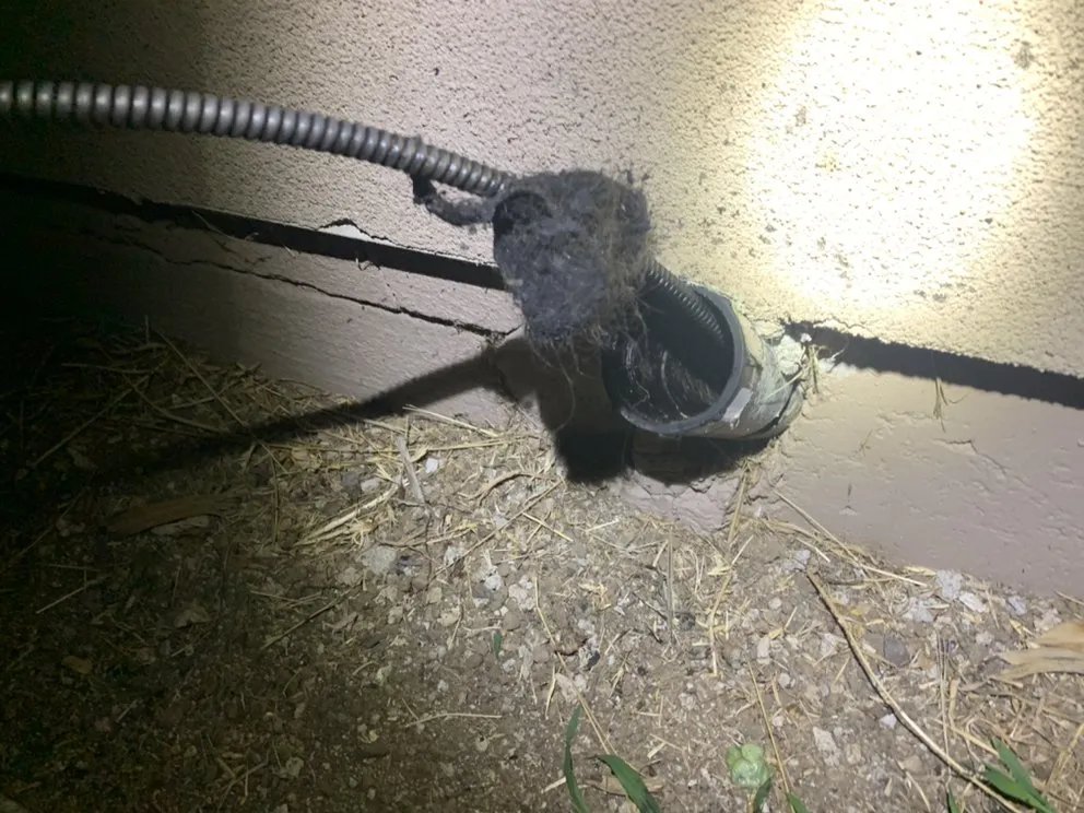 Slide of SD Drain Cleaning