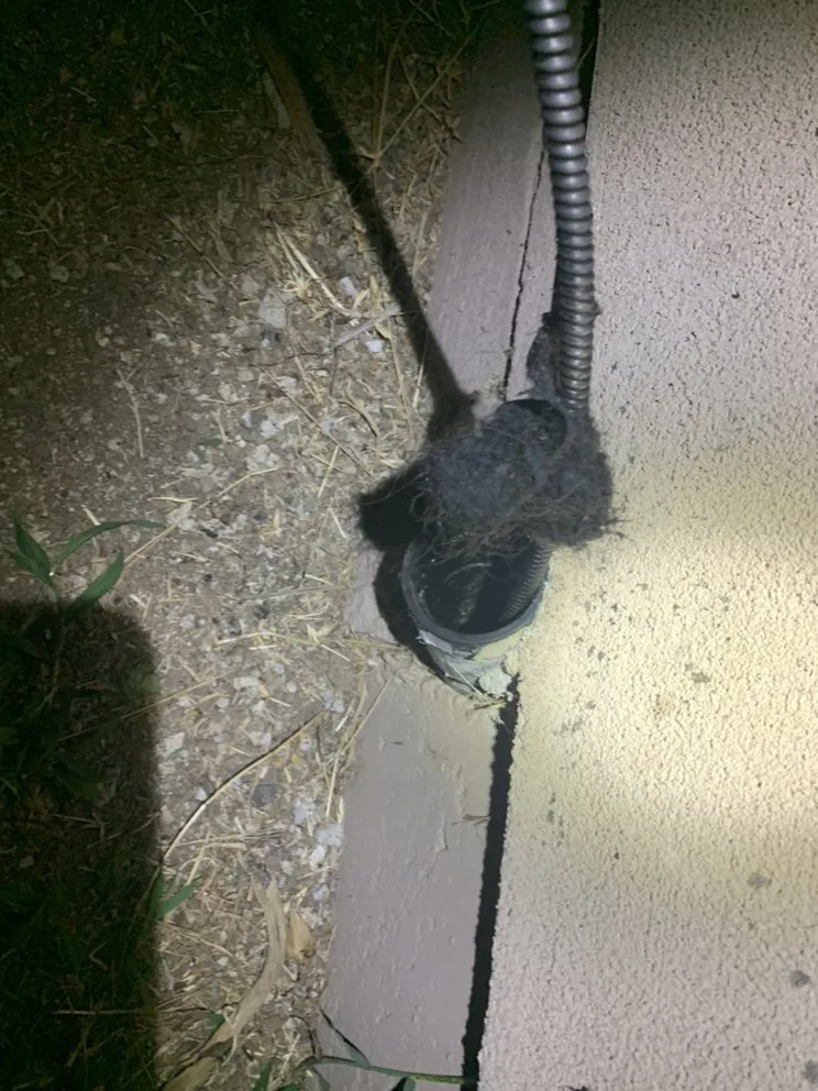 Slide of SD Drain Cleaning