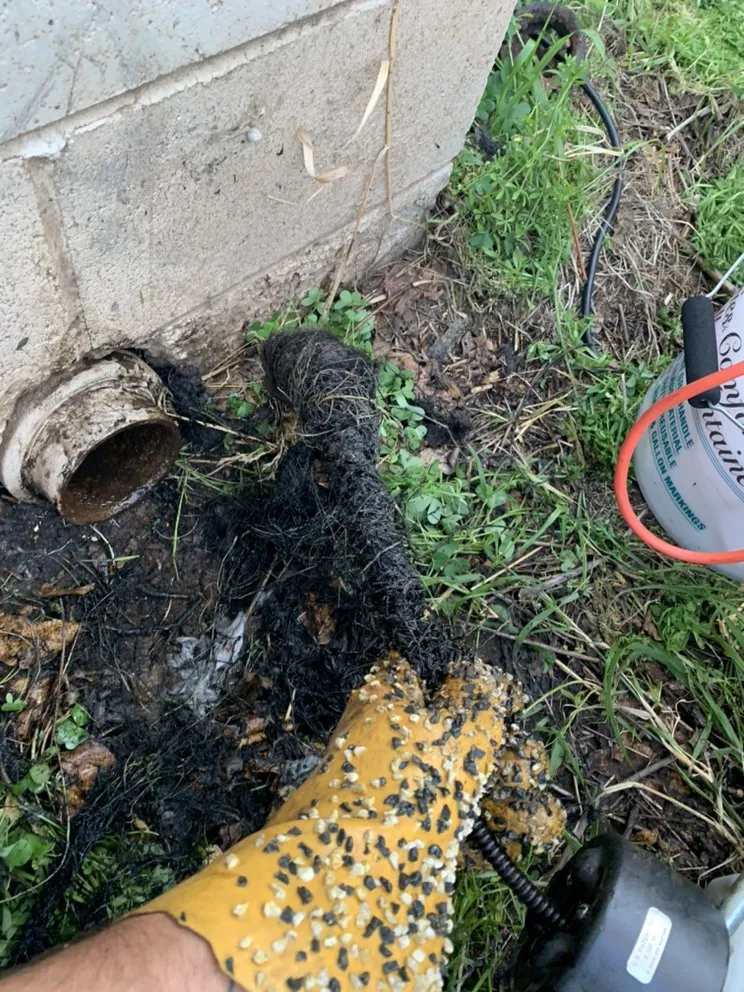 Slide of SD Drain Cleaning