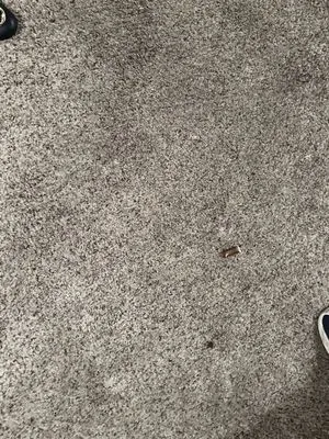 SD Home Service & Repair Logo