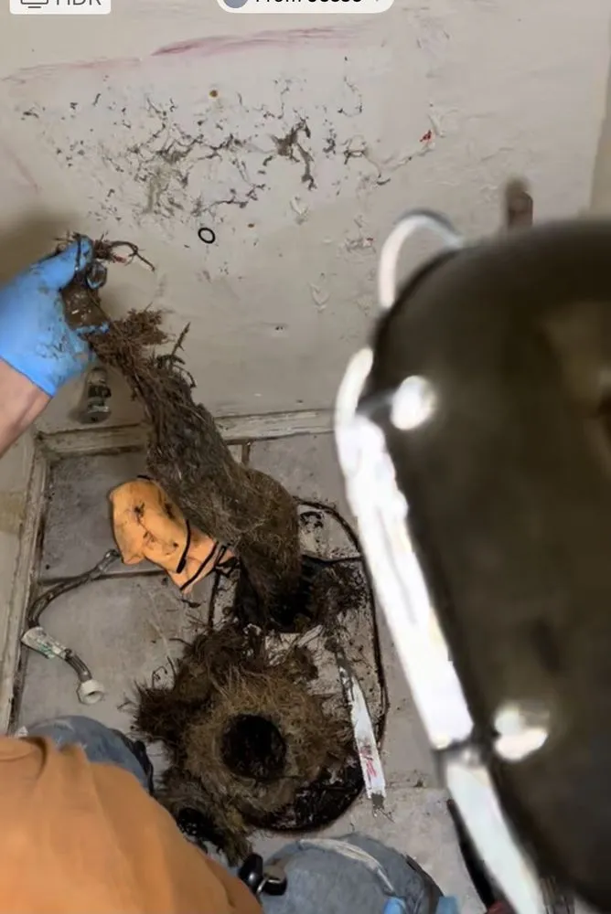 Slide of SD Rooter Co