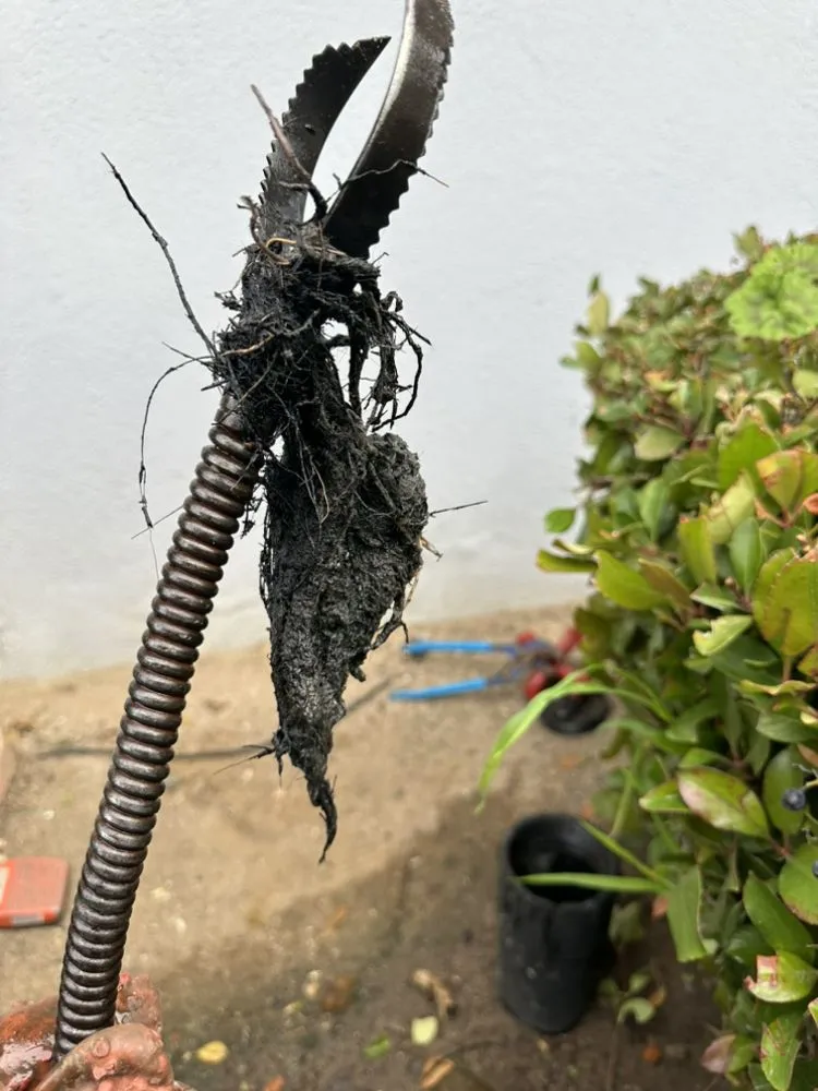 Slide of SDS Plumbing