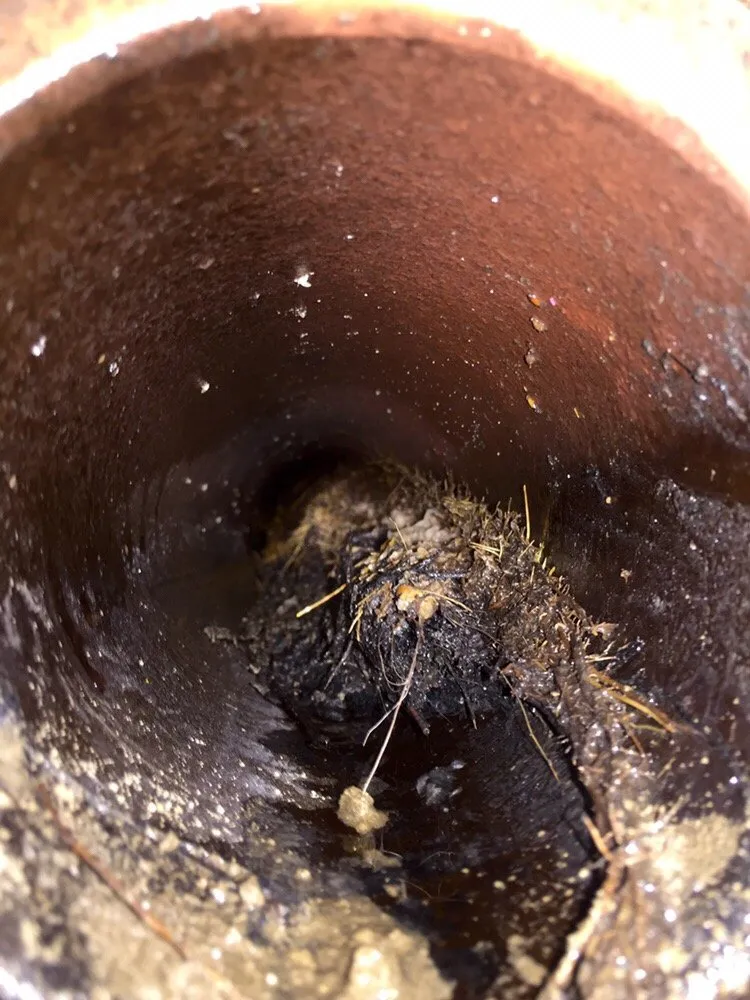 Slide of Sds Plumbing