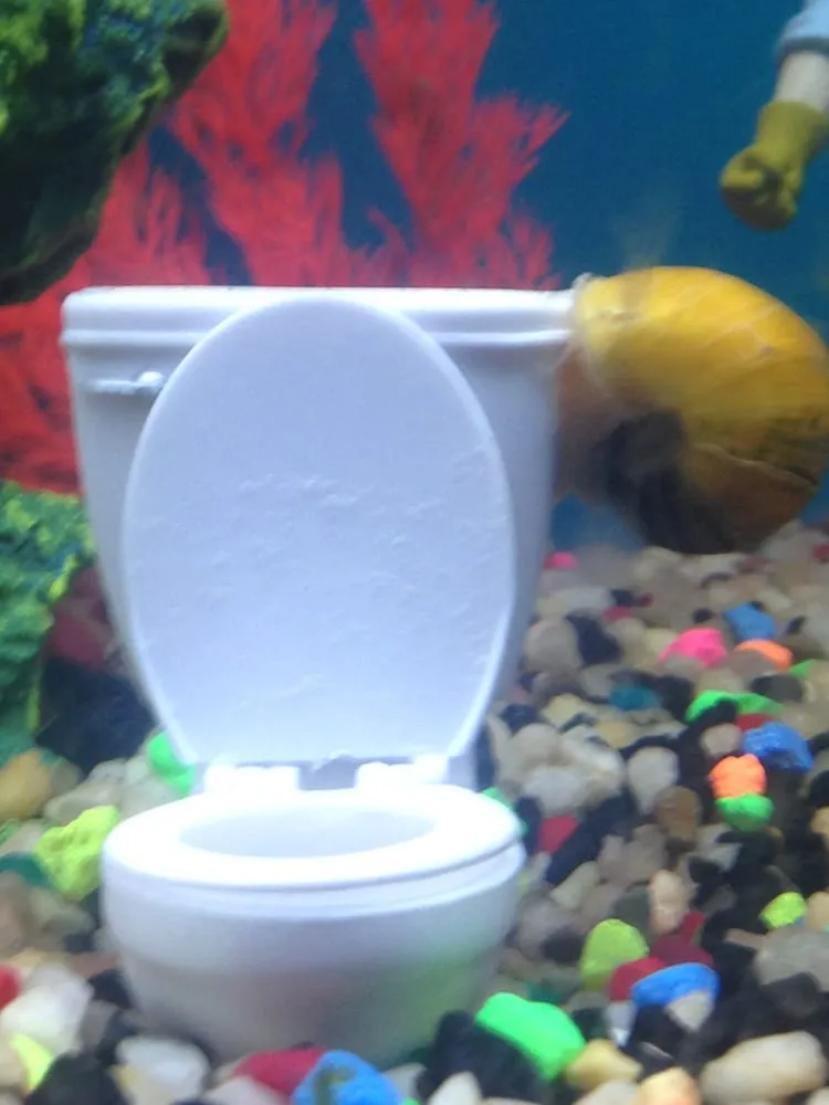 Slide of Sean Fixes Johns