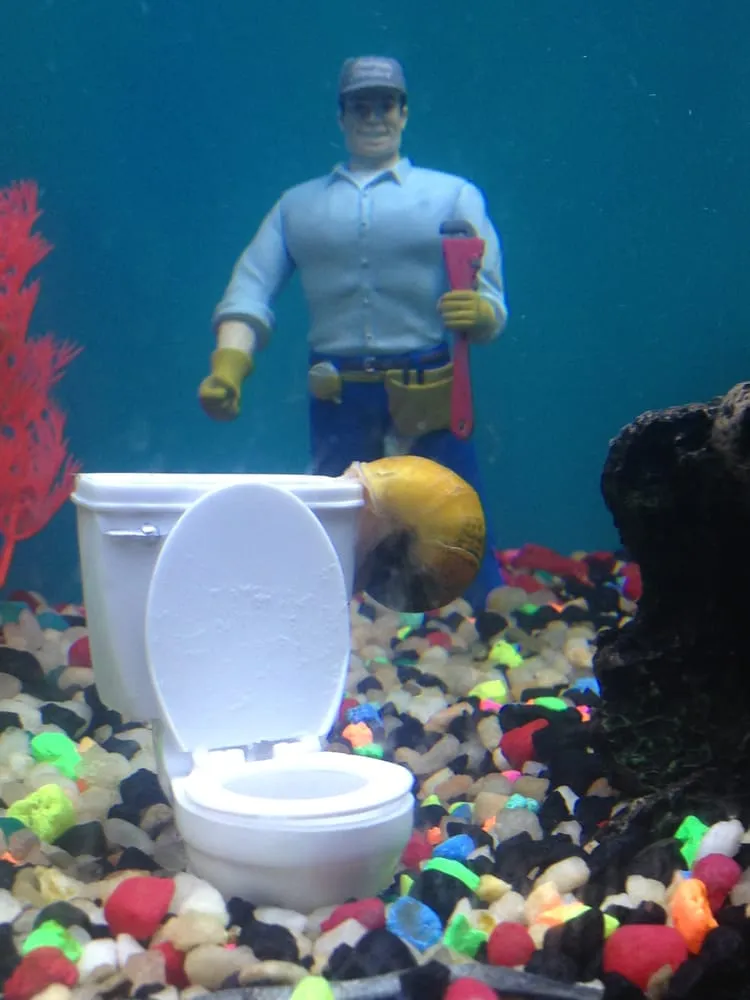 Slide of Sean Fixes Johns