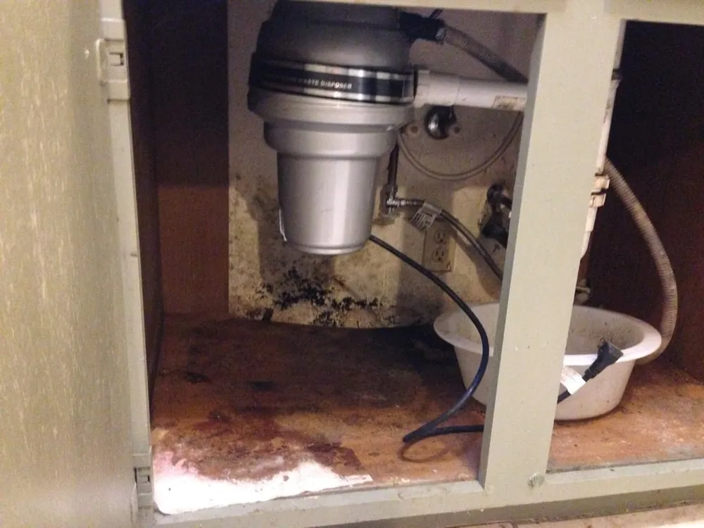 Slide of Seattle Handywomen