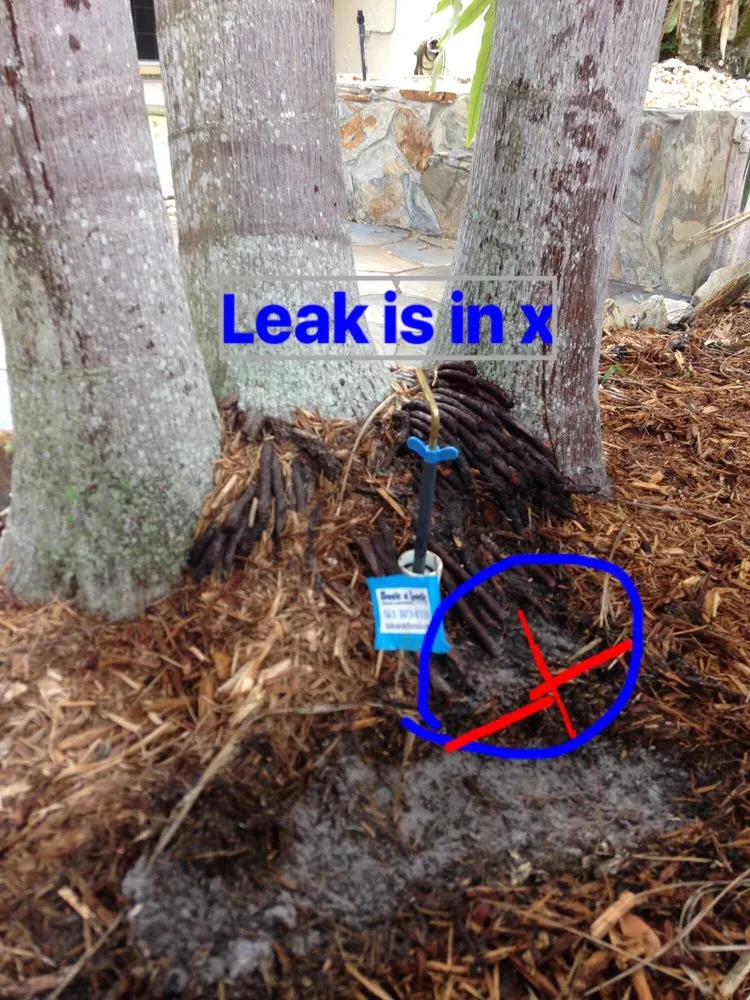 Slide of Seek A Leak