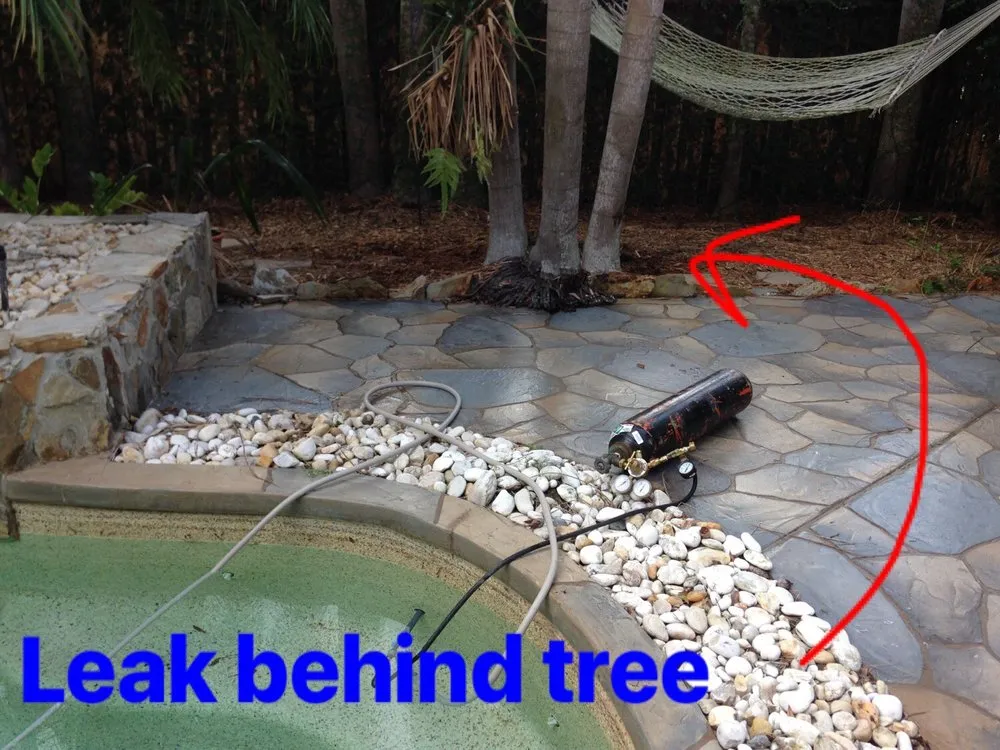 Slide of Seek A Leak