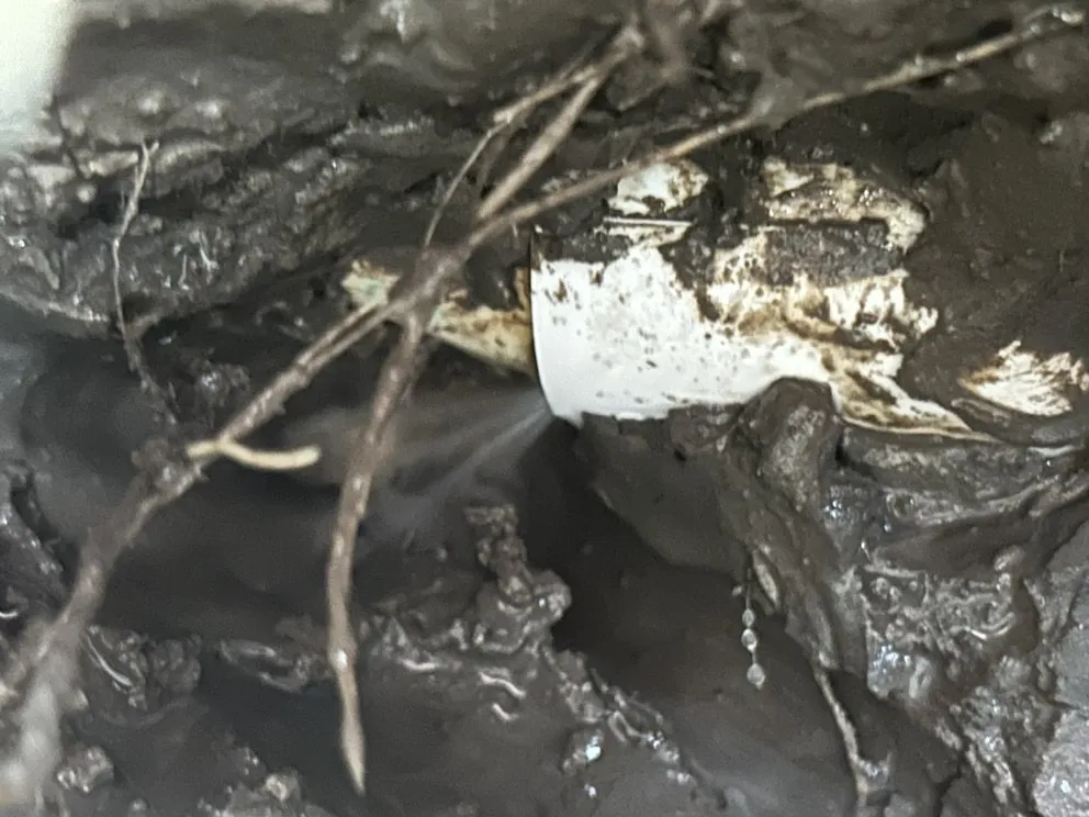 Slide of Selbe Plumbing