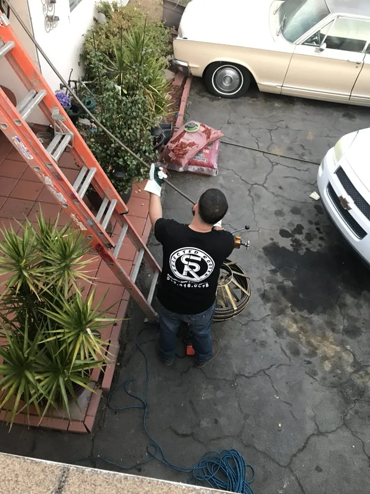 Slide of Selected Rooter