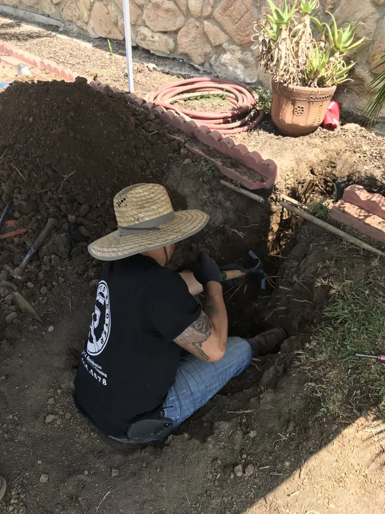 Slide of Selected Rooter