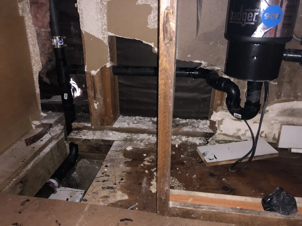 Slide of Selected Rooter