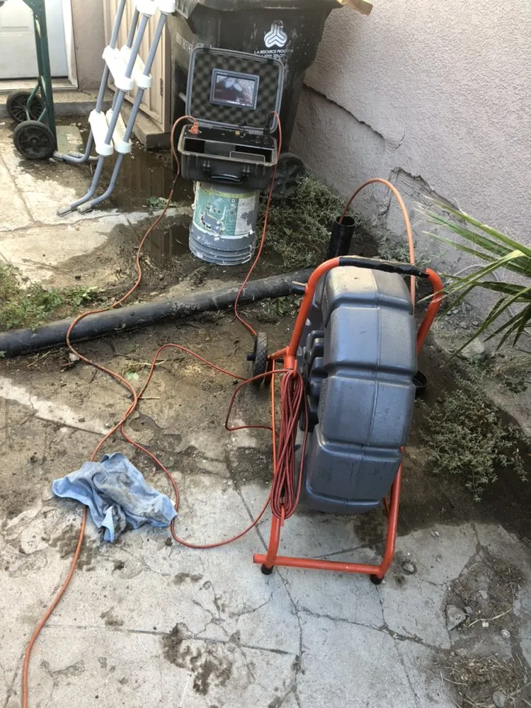 Slide of Selected Rooter