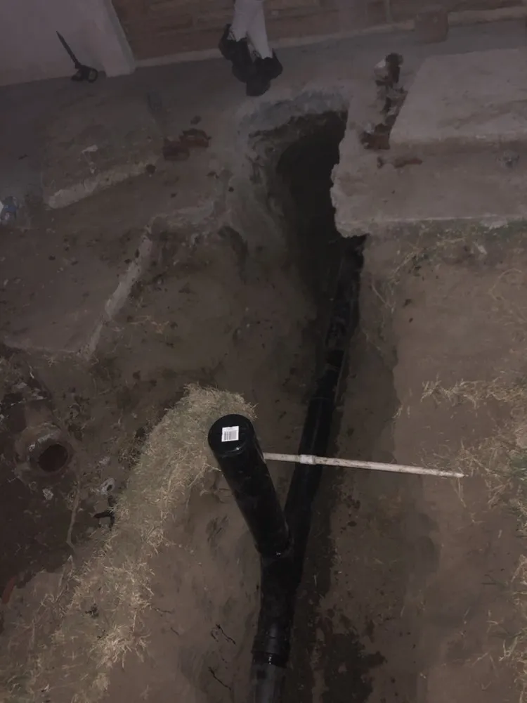 Slide of Selected Rooter