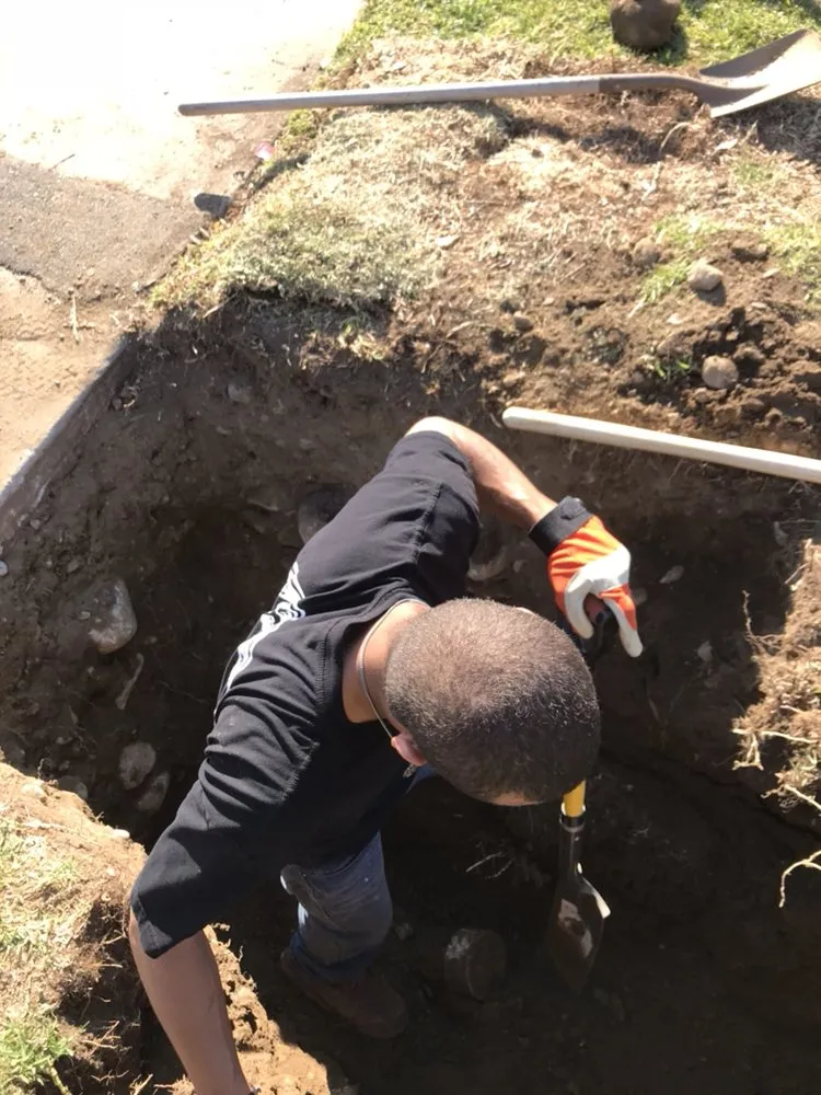 Slide of Selected Rooter