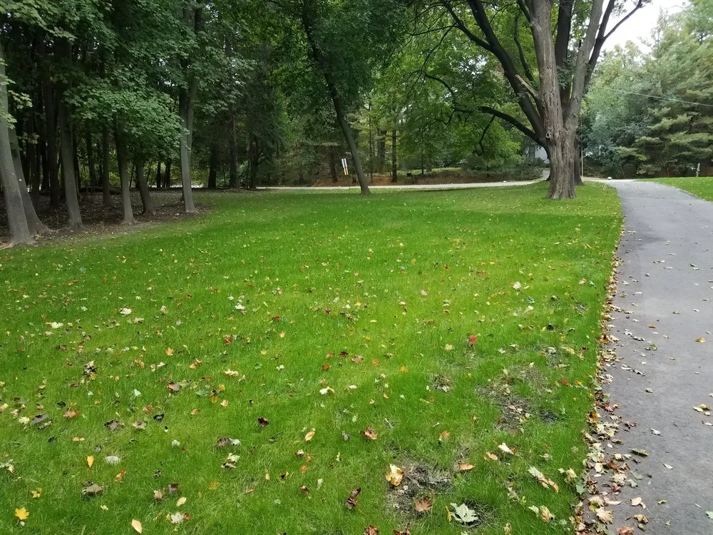 Slide of Selective Soils And Services