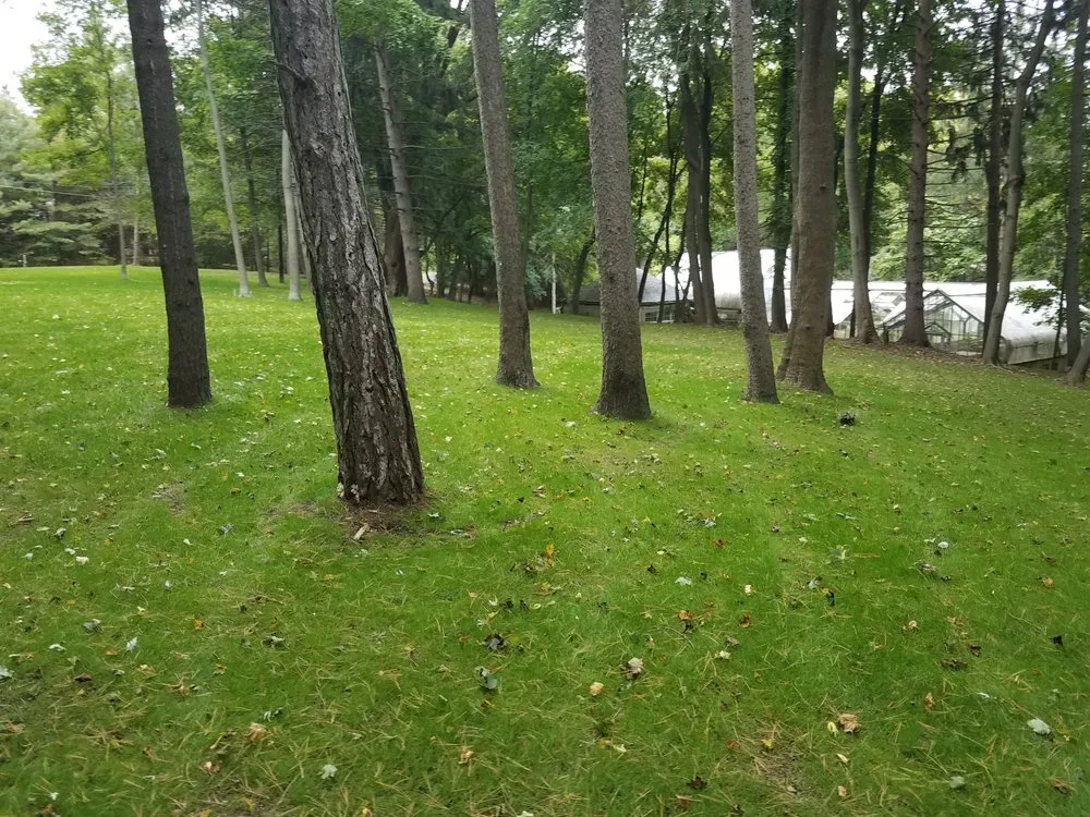 Slide of Selective Soils And Services