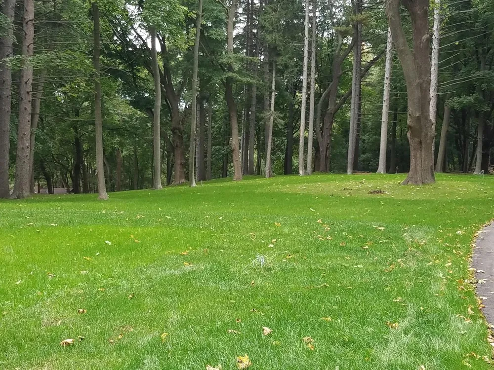 Emergency emergency plumbing for homes in South Lyon, MI by Selective Soils And Services