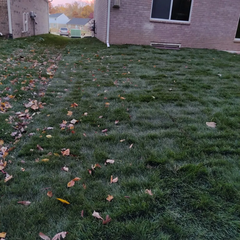 Slide of Selective Soils And Services