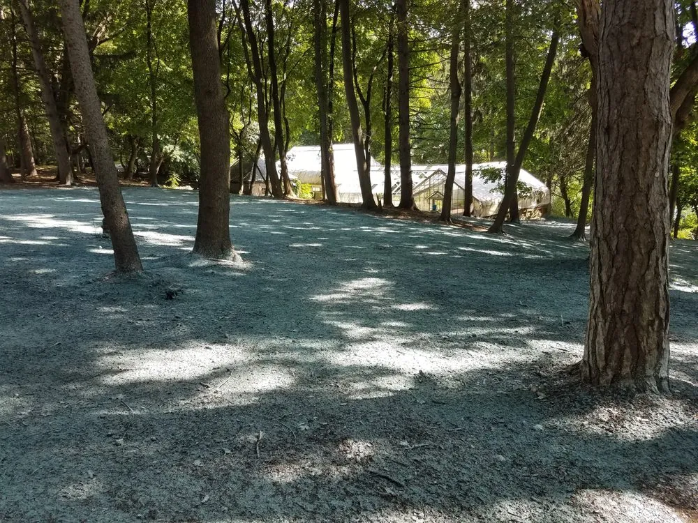 Slide of Selective Soils And Services