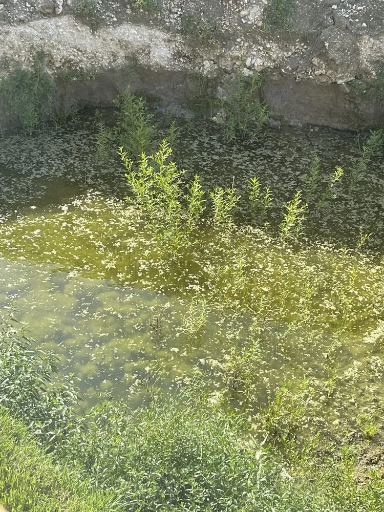 Slide of Selenis Construction