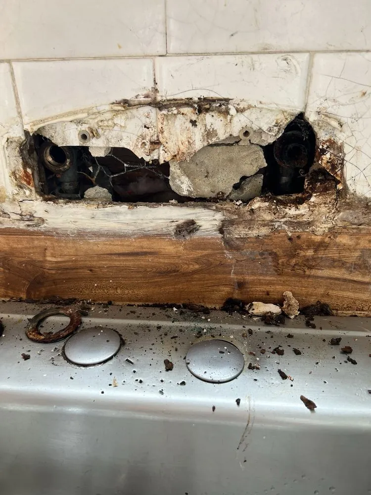 Slide of Selvin Plumbing And Rooter