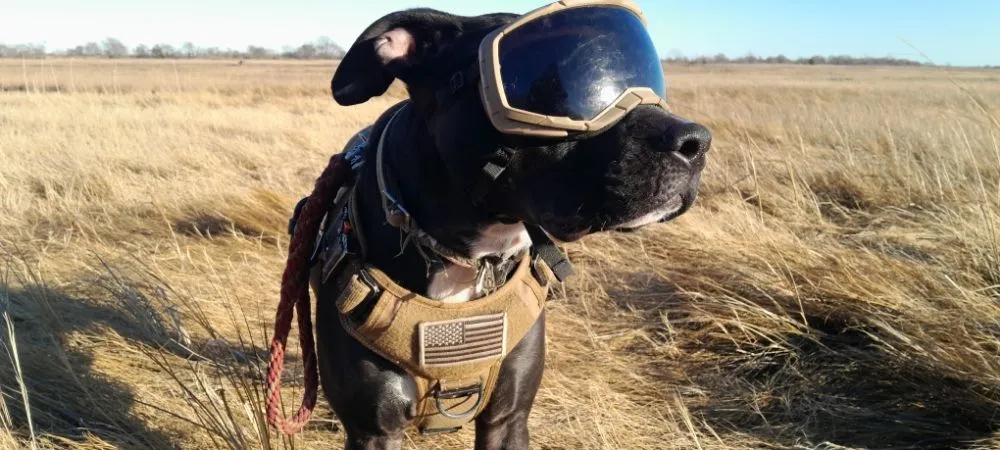 Slide of Semper Fi Contracting