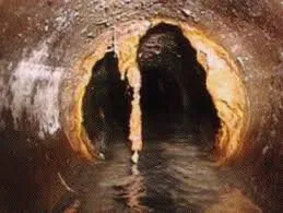 Slide of Senor Rooter