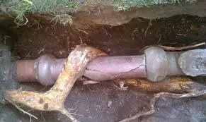 Slide of Senor Rooter