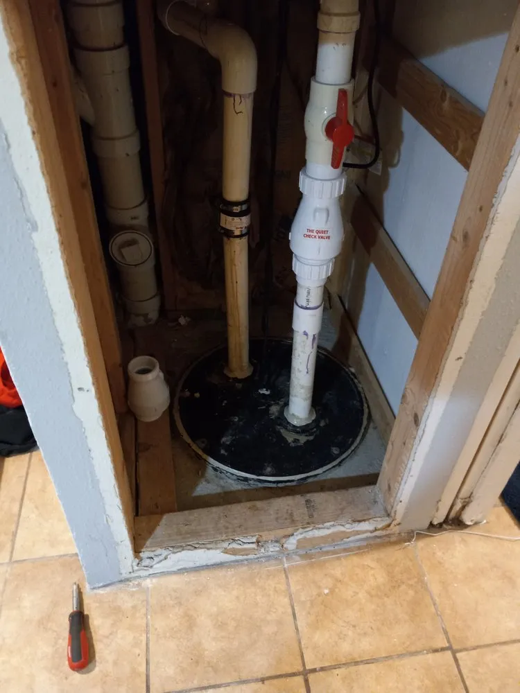 Slide of Senor Rooter