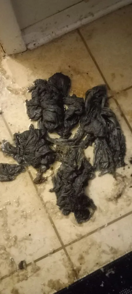 Slide of Senor Rooter