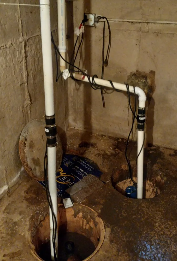 Slide of Senor Rooter