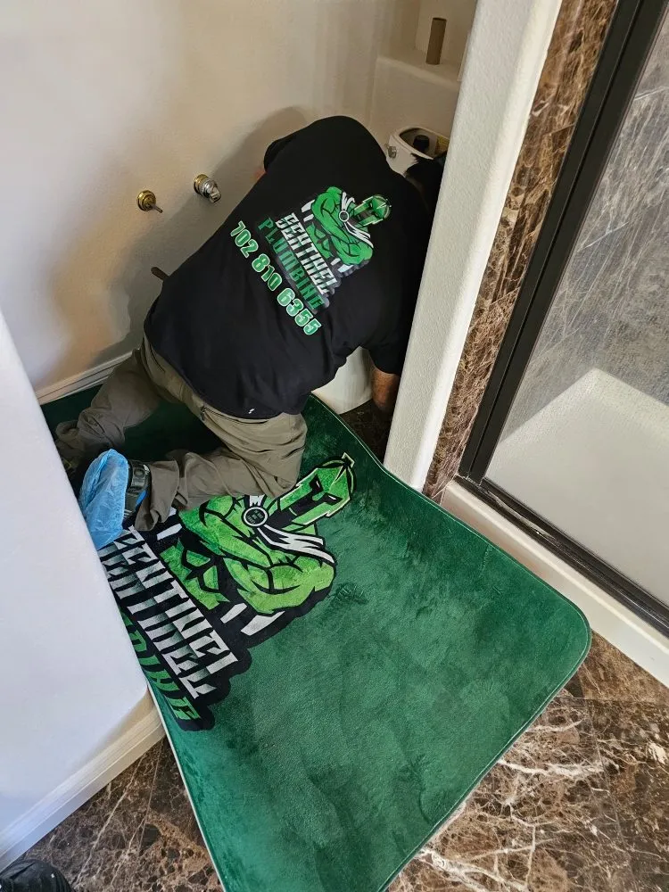 Slide of Sentinel Plumbing