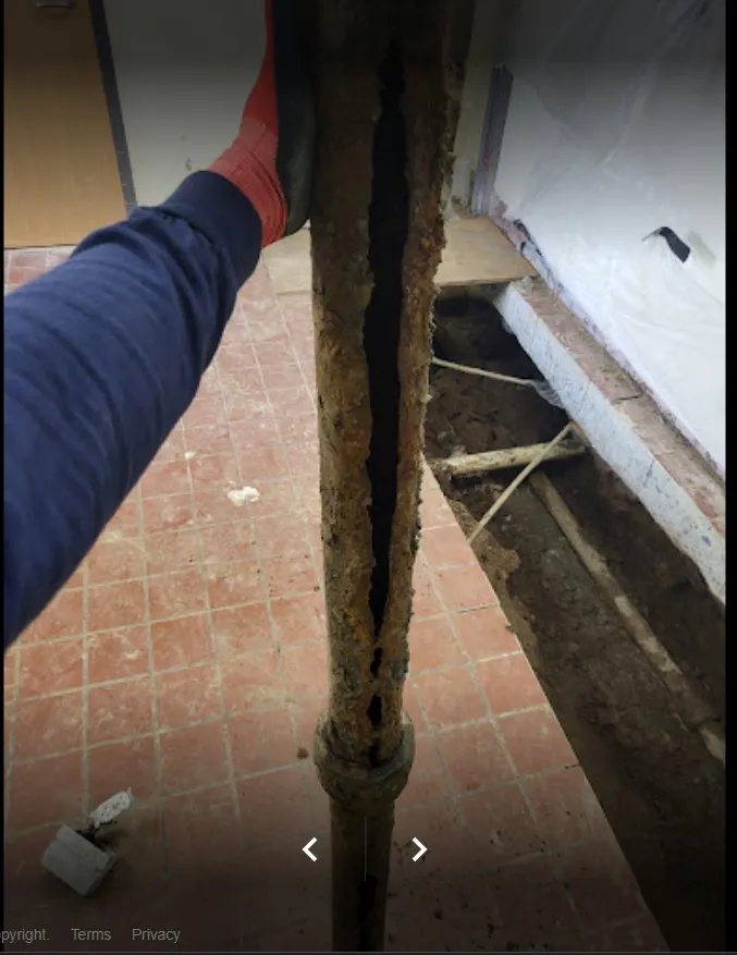 Slide of Sentinel Plumbing