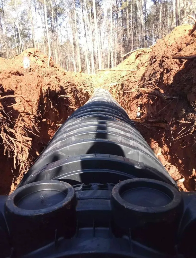 Slide of Septic by Cameron