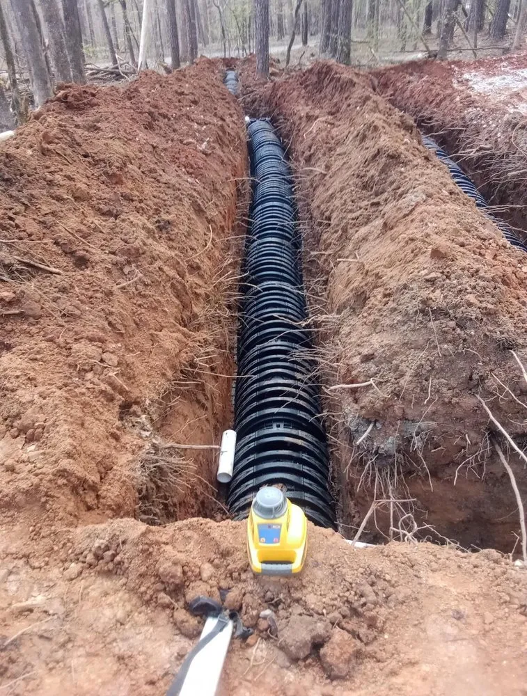 Slide of Septic by Cameron