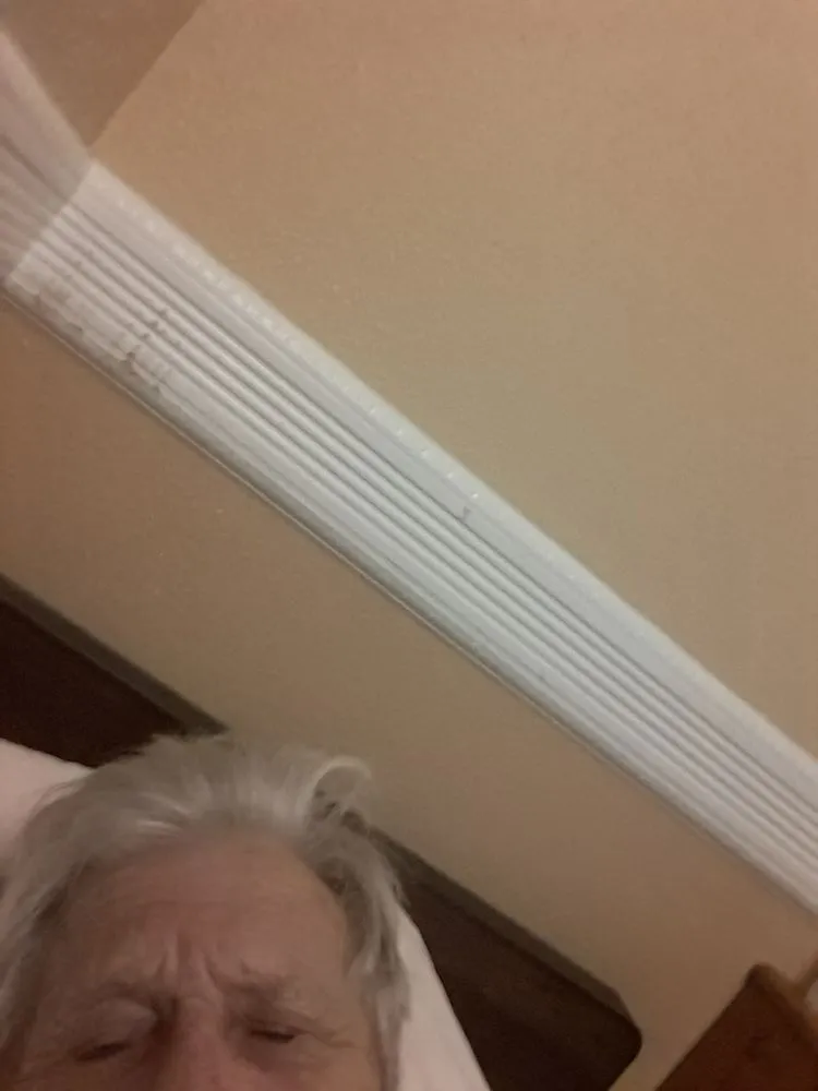 Slide of Septic King