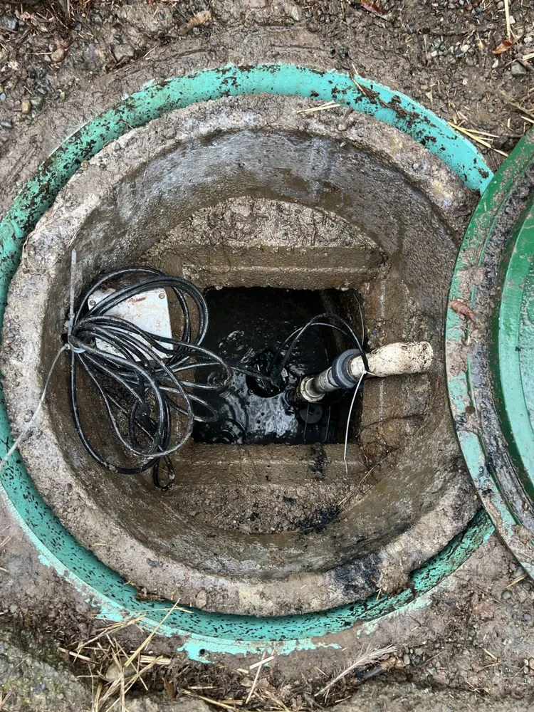 Slide of Septic Response