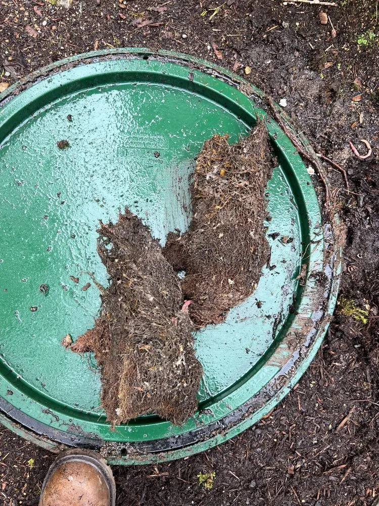 Slide of Septic Response